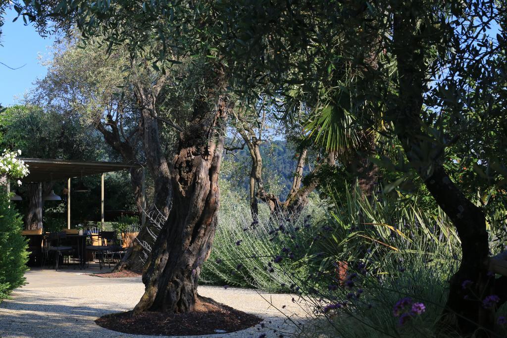 Locanda Al Colle Hotel Camaiore Exterior photo